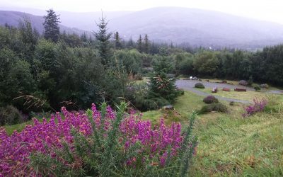 Thirteenth day in Cork