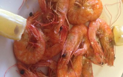 Cork- dzień jedenasty