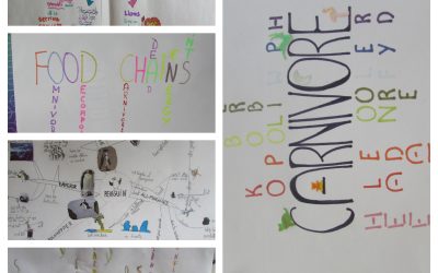 Jak w naszej szkole uczymy się języków? – metoda CLIL – angielski cz.3