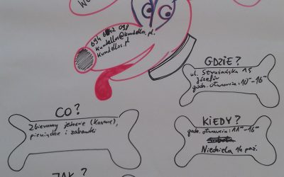 Wizyta klasy 7 w schronisku dla psów